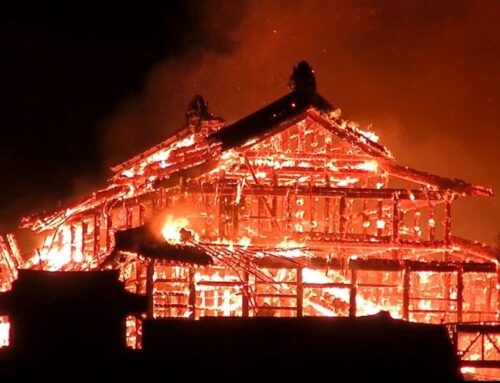 Another World Heritage Site Needlessly Lost to Fire